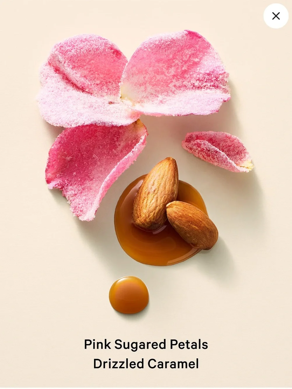 Velvet Petals Whipped Fragrance Lotion - Picture 2 of 7